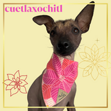 Cuetlaxochitl Bandana