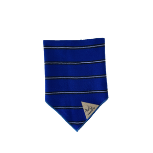 Balandra Azul Bandana