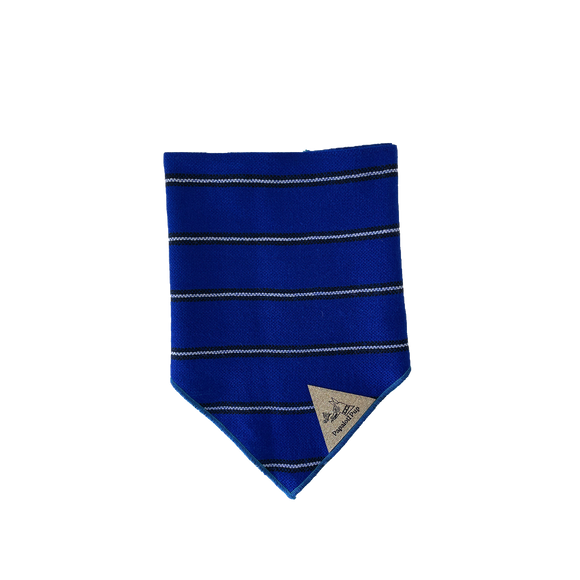 Balandra Azul Bandana