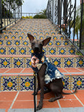 Frida Azul Bandana