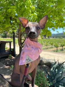 Papalotl Rose Bandana