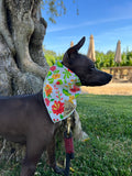 Oaxaca -Tehuana Blanca Bandana