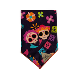 Dia de Muertos